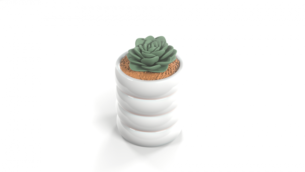 succulent pot safe store seed phrase