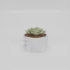 Plant Pot Safe Mini (M14)